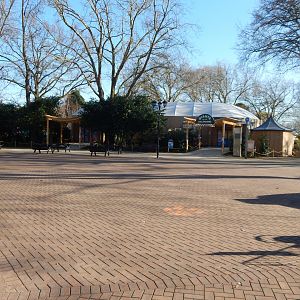 Giants of the Galapagos 180322