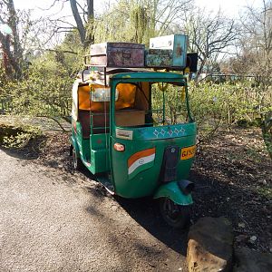 Land of the Lions 180322