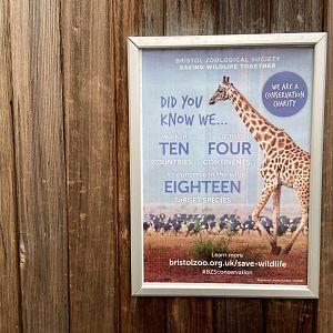 Bristol Zoo