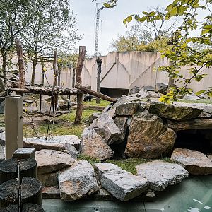 Sun bear outdoor eclosure 1