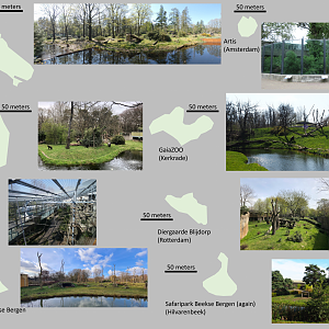 Size comparison of Gorilla habitats in the Netherlands