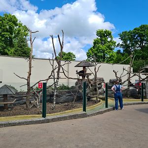 Binturong/ASCO exhibit, Longleat.