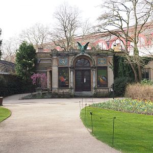 Bird House, 2022-03-16