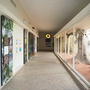 Educational corridor in the Bird House, with the Australian indoor aviary on the right side, 2022-03-16