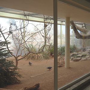 Australian indoor aviary, 2022-03-16