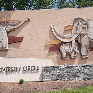 Mammoths and Mastodons