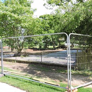 Work Next To Meerkats