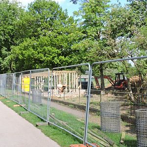 Work Next To Meerkats