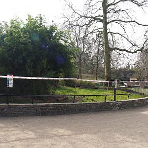 Mountain bongo paddock, 2022-03-16