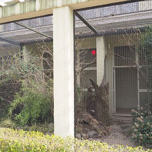 Blue-crowned laughingthrush, Red-billed Leiothrix and Collared hill partridge aviary, 2022-03-16