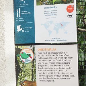 Emei Shan Liocichla signage, 2022-03-16