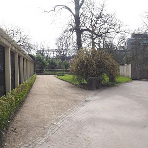 Bird House small aviary block and walkway, 2022-03-16