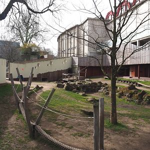 Spectacled bear exhibit temporarily serving as a playground area during renovations, 2022-03-16