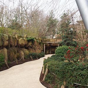 Walkway in the Savanna Aviary, 2022-03-16
