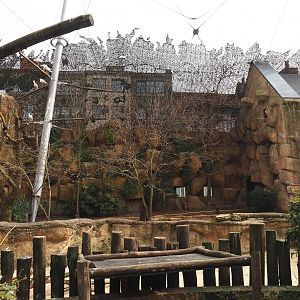 Savanna Aviary - Bird area at the back of the aviary (behind buffalo paddock) and part of the bird house, 2022-03-16