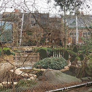 Savanna Aviary, seen from the outside, 2022-03-16