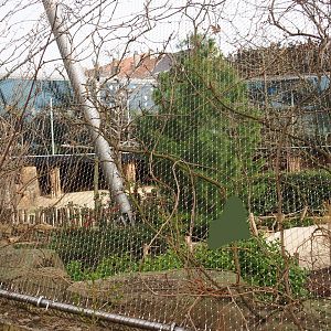 Savanna Aviary, seen from the outside, 2022-03-16