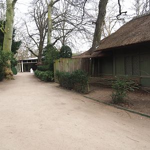 Walkway to Great Ape House, alongside historical deer barns, 2022-03-16