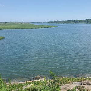 Marine Park Salt Marsh & Nature Center - Scenery