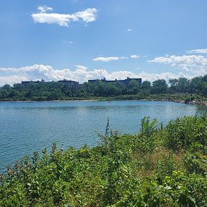 Marine Park Salt Marsh & Nature Center - Scenery