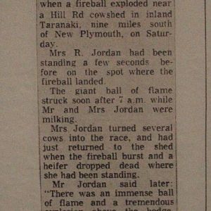 UFO story about cattle, The Dowse Art Museum