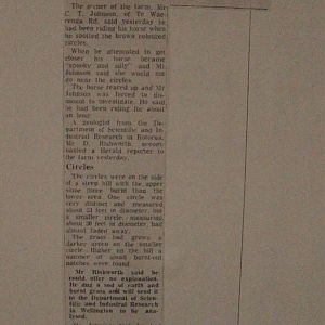 UFO story about a horse, The Dowse Art Museum