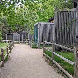 Raptor Exhibits