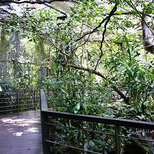 Neotropical Walk-Through Exhibit at Reptopia