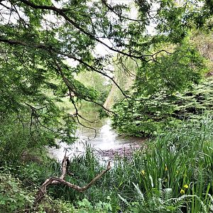 View in Oceania section