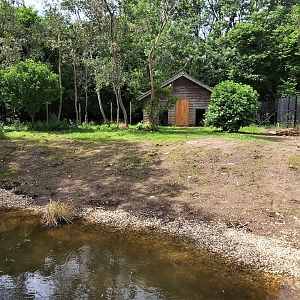 Second Southern cassowary enclosure
