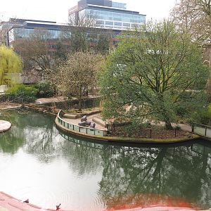 Hippopotamus exhibit, 2022-03-16