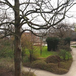 View towards the rhinoceros exhibit from the viewing area on top of the hippopotamus house, 2022-03-16