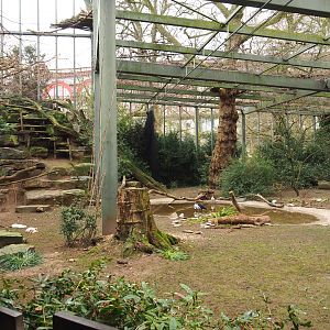 Hippo house aviary, 2022-03-16