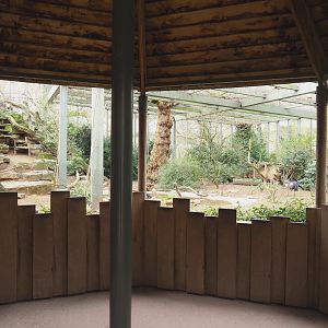 Hippo house aviary - Ground level viewing hut, 2022-03-16