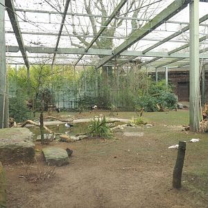 Hippo house aviary - Seen from inside the hippo house, 2022-03-16