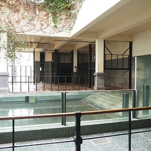 Hippopotamus indoor exhibit, 2022-03-16