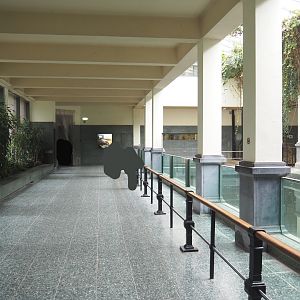 Visitor area inside the Hippopotamus house, 2022-03-16