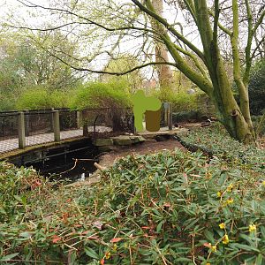Nutria exhibit, 2022-03-16