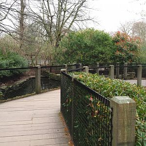 Bridge over the Nutria exhibit, 2022-03-16