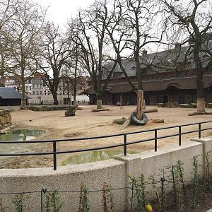 Historical Bovine house and Southern white rhinoceros paddock, 2022-03-16