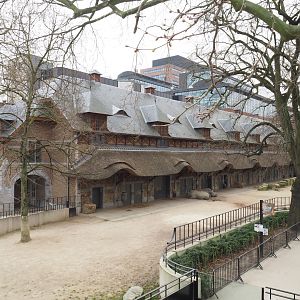Historical Bovine house and part of the Southern white rhinoceros paddock, 2022-03-16