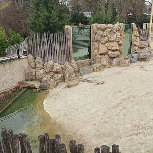 Giraffe paddock pond and viewing windows, 2022-03-16