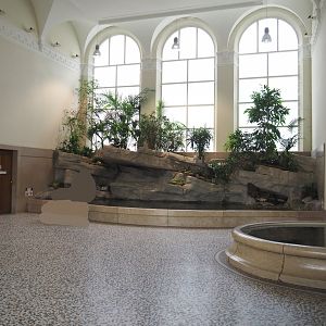 Entrance hall of the aquarium with goldfish and koi ponds, 2022-03-16