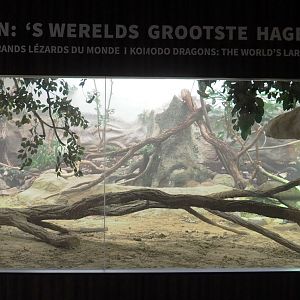 Komodo dragon exhibit, 2022-03-16