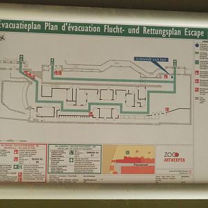 Fire escape map of the Reptile house, 2022-03-16