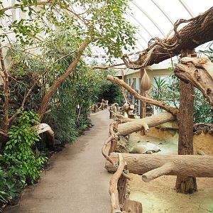 Reptile House winter garden with African spurred tortoise paddock, 2022-03-16