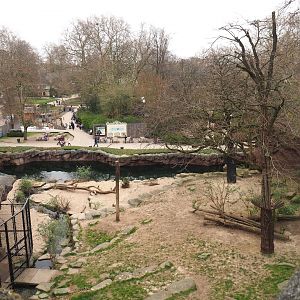 African lion exhibit seen from the panorama bridge, 2022-03-16