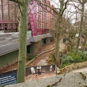 Parts of the abandoned and boarded-off jubilee complex - Former raptor and owl aviaries, 2022-03-16 2022-03-16