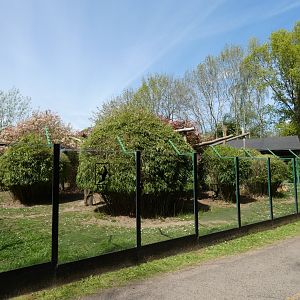Red-ruffed lemur enclosure