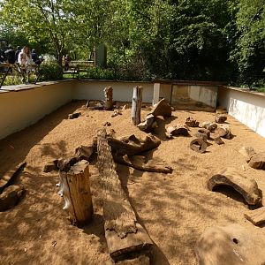 Meerkat and porcupine enclosure